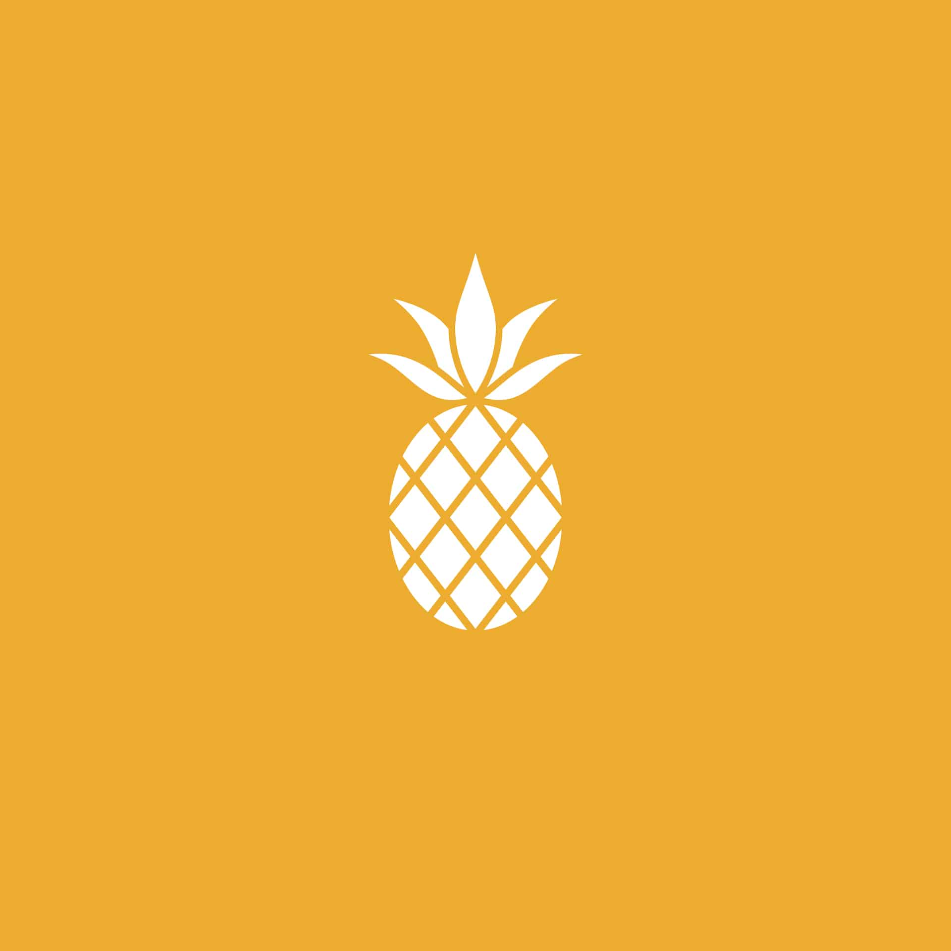 Southern First Branding Logo
