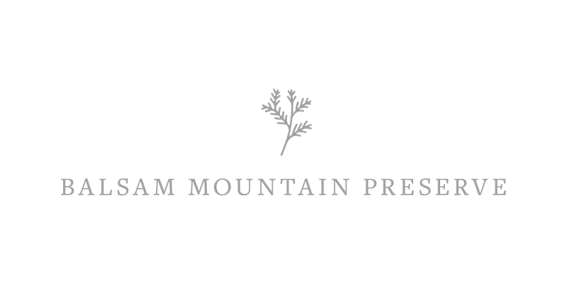 Balsam Mountain Preserve Logo
